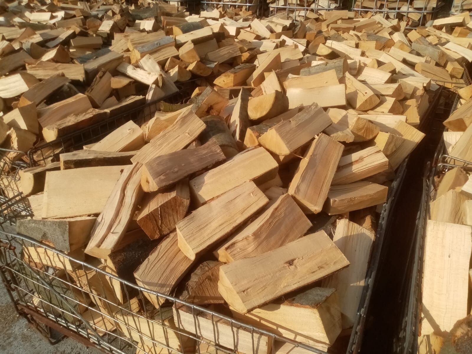 Frisches Buchenholz 25 cm