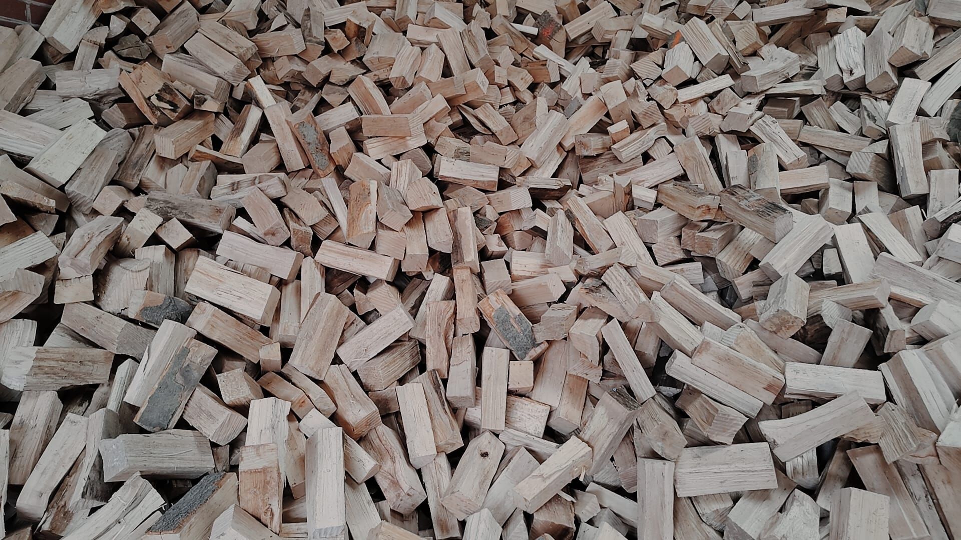 Kammergetrocknetes Buchenholz 25 cm